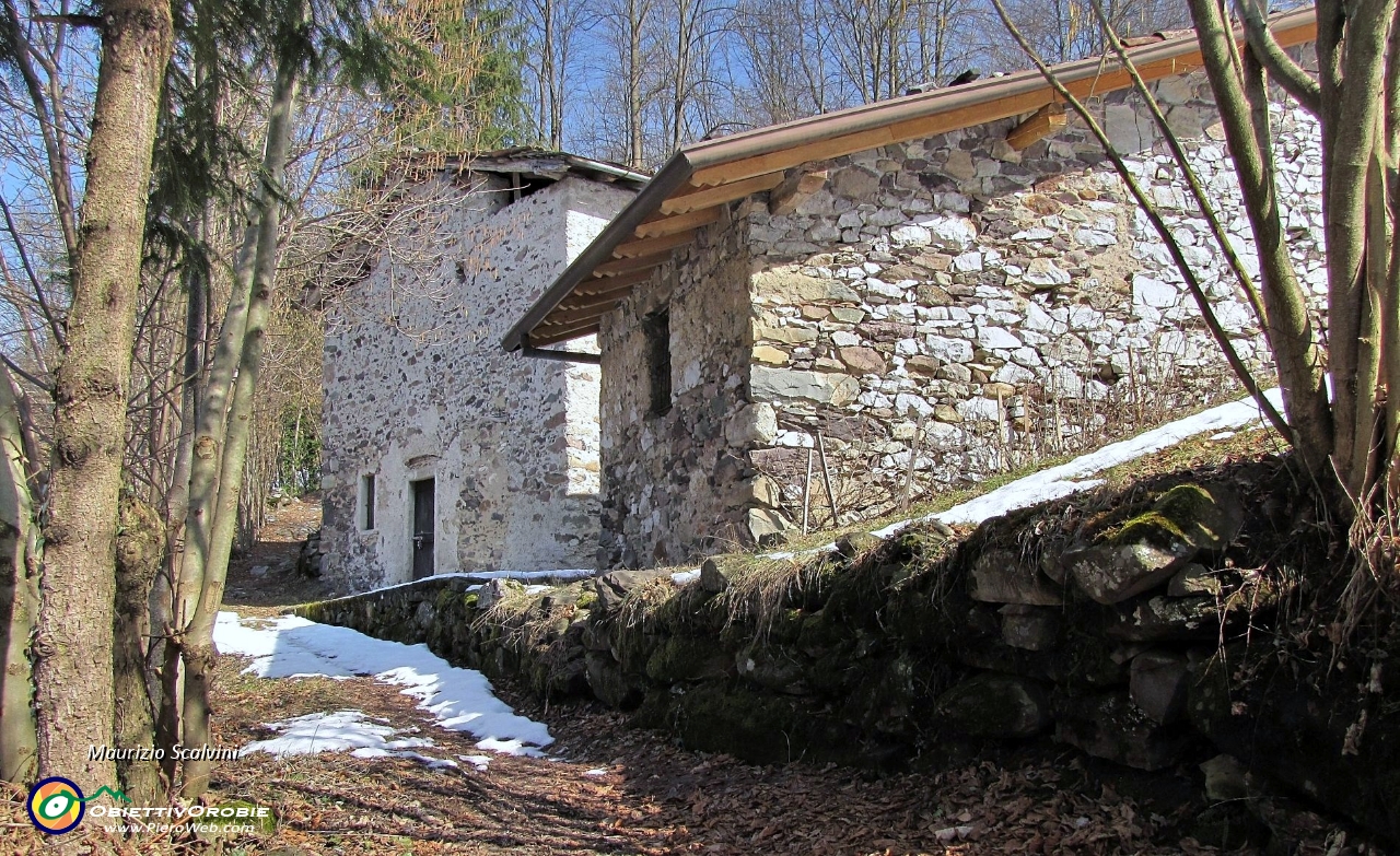 37 Sfioro delle cascine....JPG